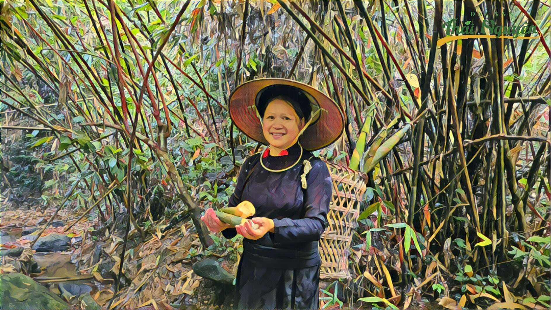 Nõn Măng Nứa Võ Nhai