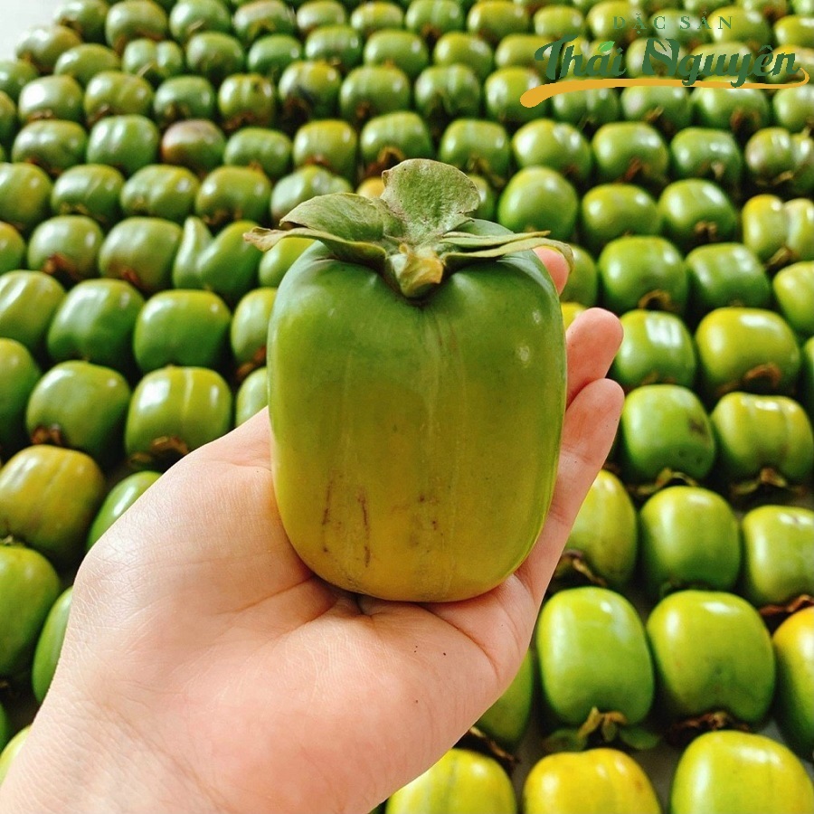 Hồng Da Tre Thái Nguyên